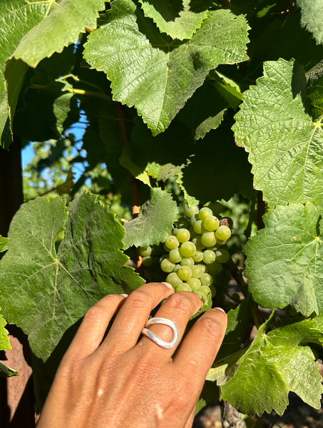 Brushed Bilbao Asymmetric