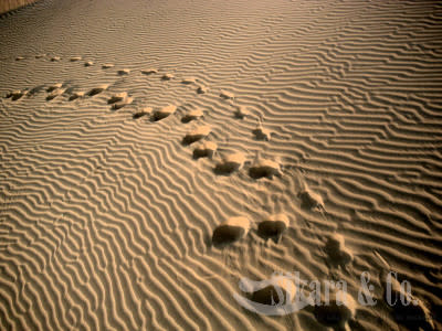 Desert Print Ring Blue Topaz
