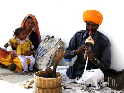 Charmed Snake Ring Peridot
