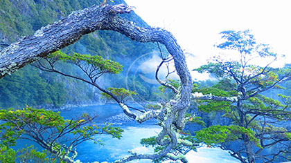 Chile: The Blue Abyss