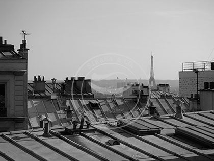 France: Rooftop Tower - Eiffel Tower