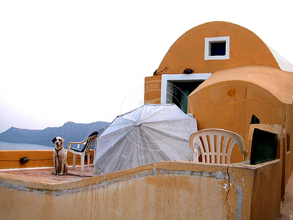 Greece: Tini Santorini - Santorini