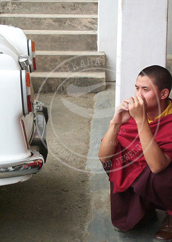 India: Just Thinking - Dharamshala