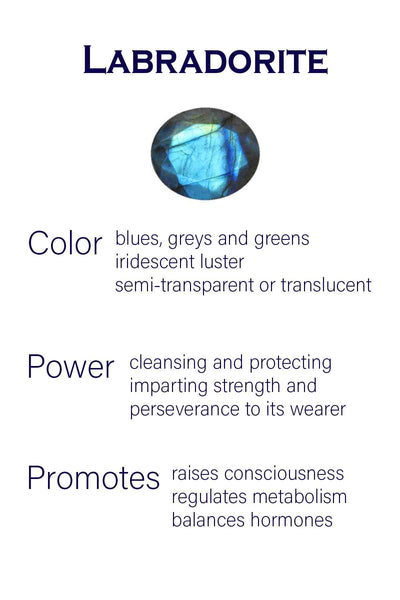 Medium Hanging Puntino Earrings Labradorite