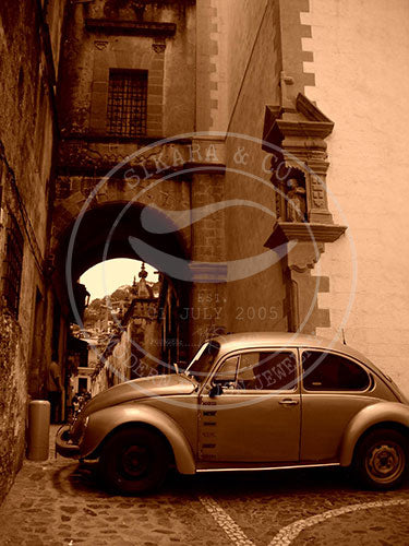 Mexico: Slug Bug - Taxco