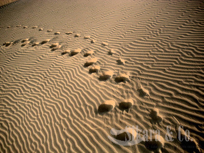 Desert Print Ring Aqua Chalcedony and Black Onyx 7