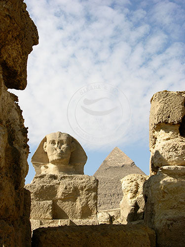 Egypt: Lining up - Cairo