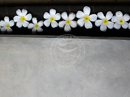 Cambodia: Line Them Up - Ankor Wat