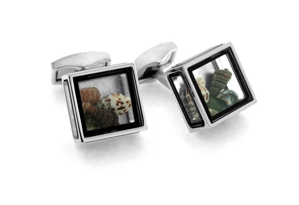 Seashells Square Box Cufflinks
