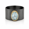Jaipur Nocturne Ring  Aquamarine (Oxidized)