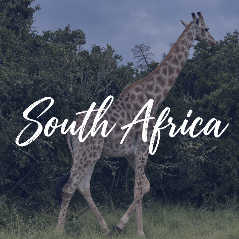 SOUTH AFRICA