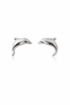 Dophin Studs