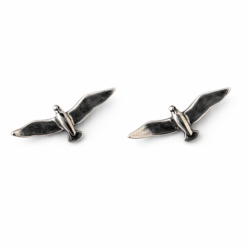 Seagull Studs