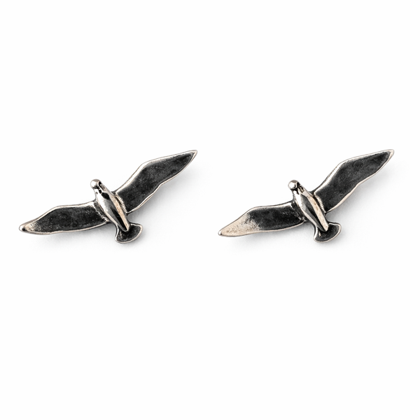 Seagull Studs