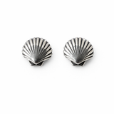 Sea Shell Studs