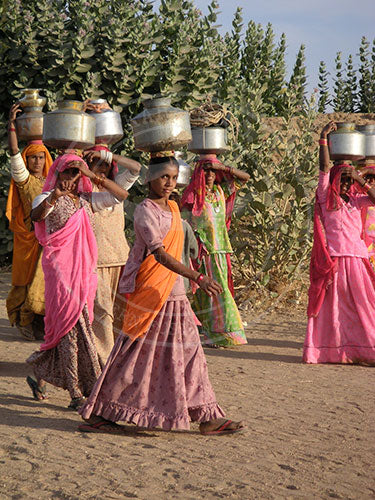 India: Whatcha Lookin At - Thar Desert