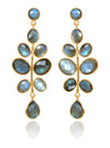 Gold Plated Budding Branch Earrings Labradorite