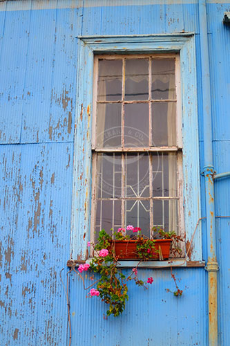 France: Entrepreneurial Road - Paris