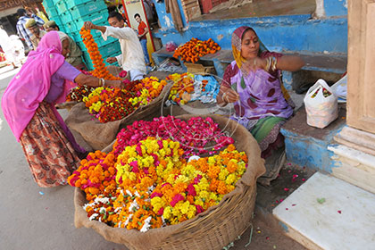 India: The Flower Shop - Rajasthan