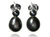 Double Pearl Drop Studs Grey Pearl