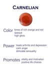 Milano Cantena Stone Ring - Carnelian