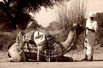 India: Getting Styled - Rajashtan