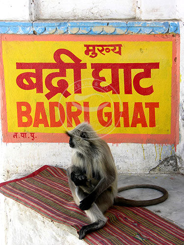India: Waiting on my Chai - Pushkar, Rajasthan