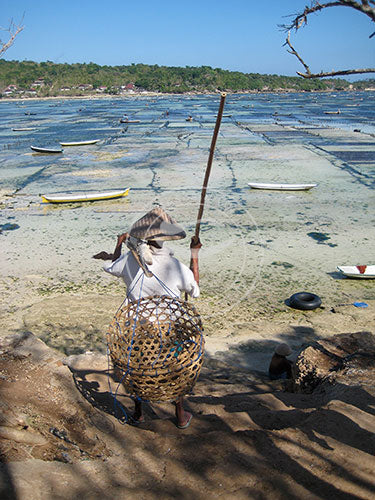 Indonesia: Gone Fishing - Bali – Sikara & Co