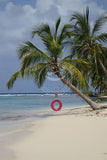 Panama: Swing Me - San Blas Islands