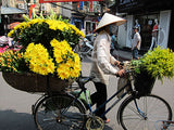 Vietnam: 1800-Flowers - Hanoi