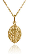 18K Gold Plated Leaf Pendant and Chain